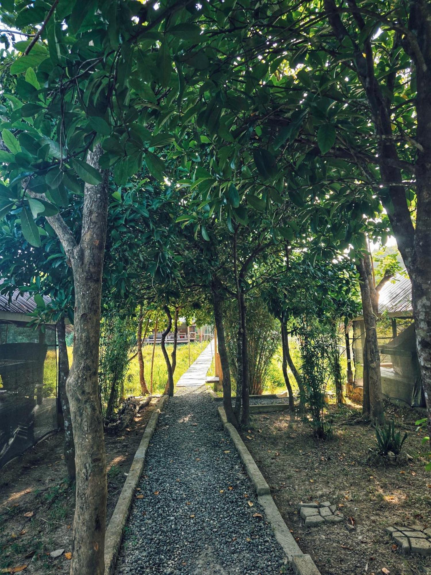 Cabanas De Nacpan Camping Resort El Nido Dış mekan fotoğraf