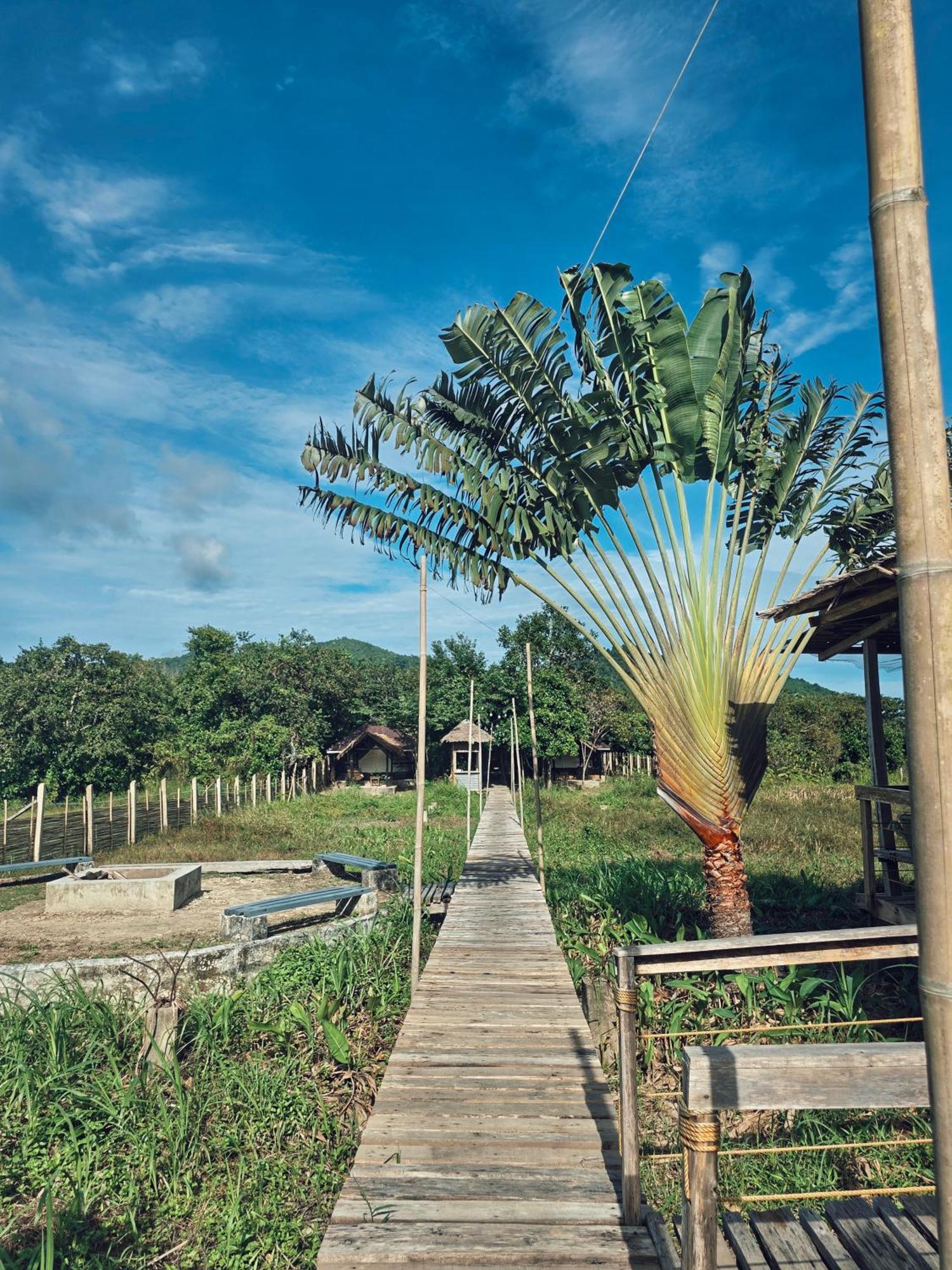 Cabanas De Nacpan Camping Resort El Nido Dış mekan fotoğraf